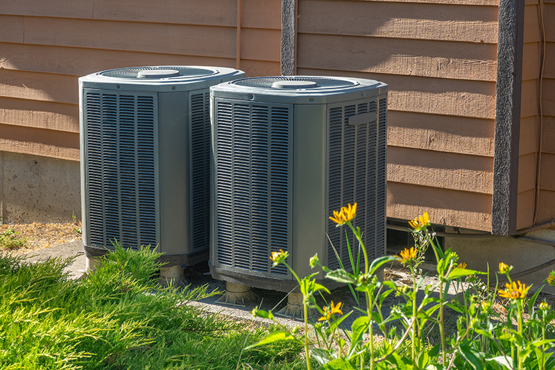 Two AC systems sitting outside of a home around yellow flowers.